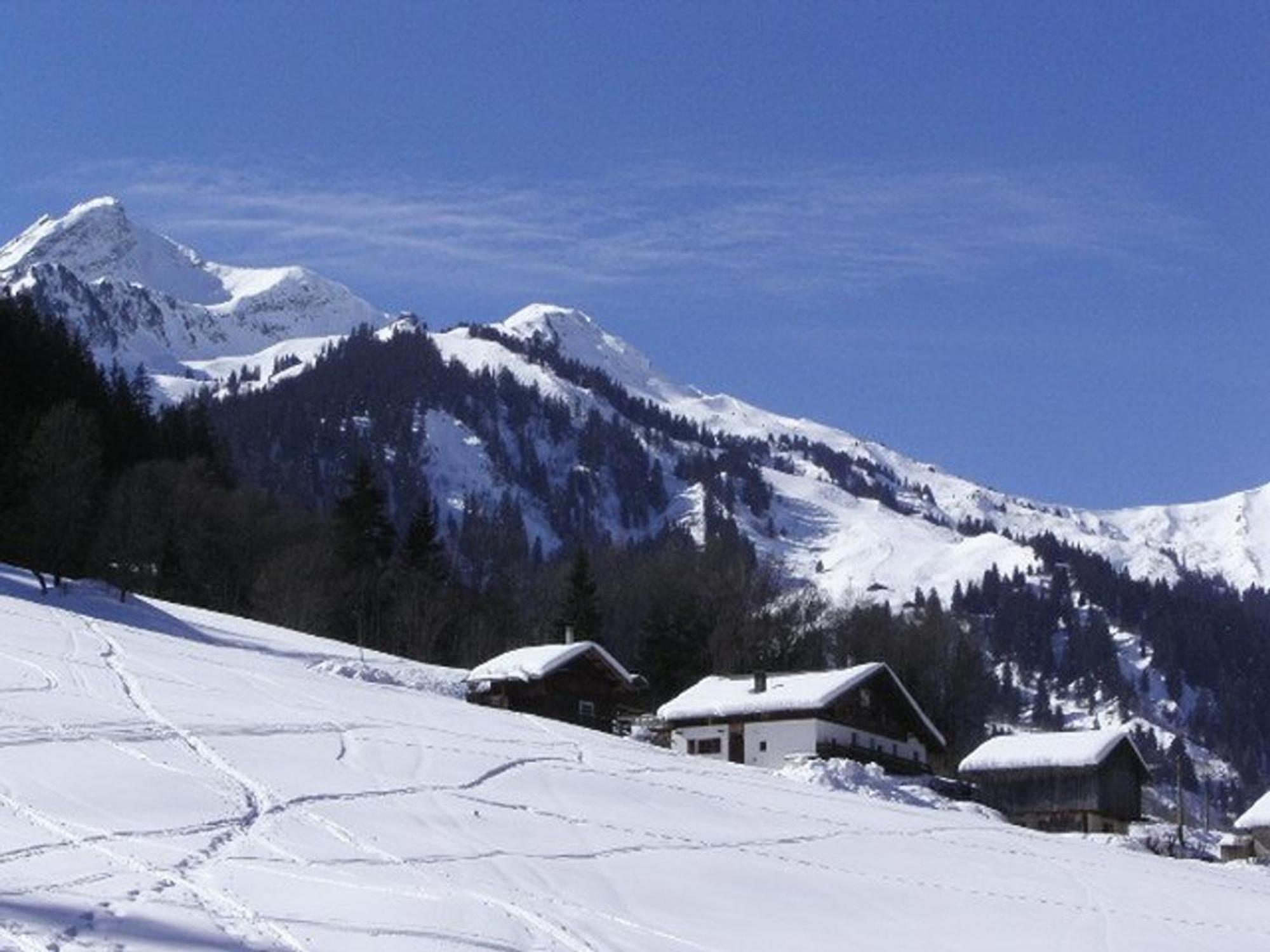 Charmant Studio 2/4 Pers A 200M Des Pistes, Balcon Sud, Animaux Admis - Fr-1-342-148 Beaufort  Exterior photo